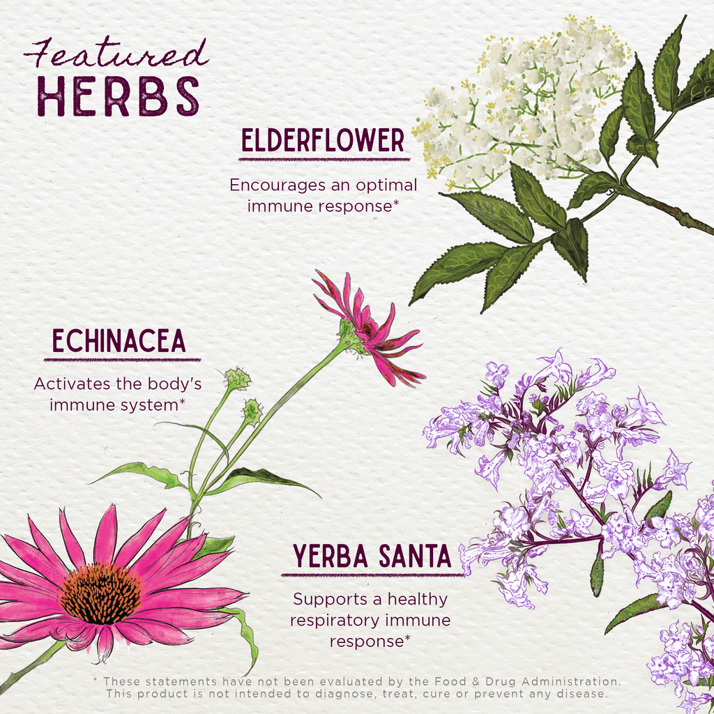 Natural Immune Booster with Respiratory Support - Herbal Tonic for Stronger Defense