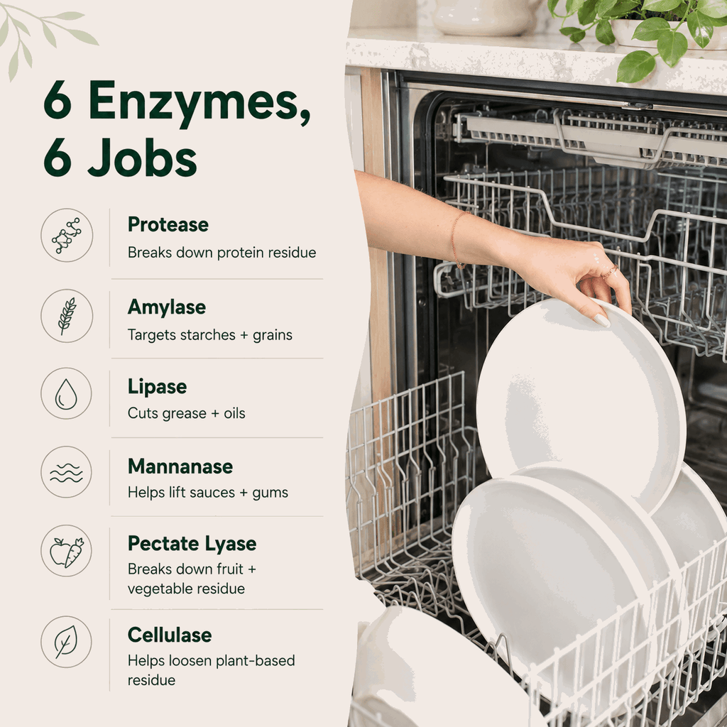 Natural Enzyme Dishwasher Detergent - Gentle Cleaning, No Residue - The Honored One TN